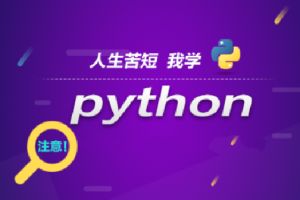 王道Python工程师2024长期班10期|价值过万