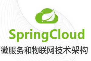 基于Spring Cloud 微服务和物联网技术架构 冰眼冷链实战项目（资料完整）