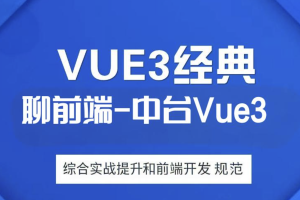 大伟聊前端-互联网大厂企业级中台Vue3综合实战提升和前端开发规范