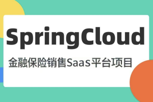 基于SpringCloud微服务 金融保险销售SaaS平台项目2024（资料完整）