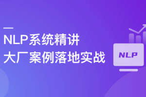 NLP系统精讲与大厂案例落地实战，吃透内容理解体系